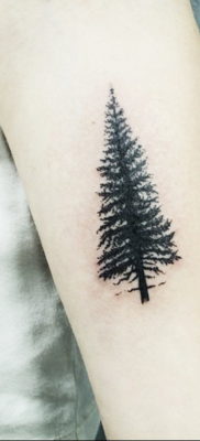 tattoo spruce 25.11.2019 №1019 -tattoo spruce- tattoovalue.net