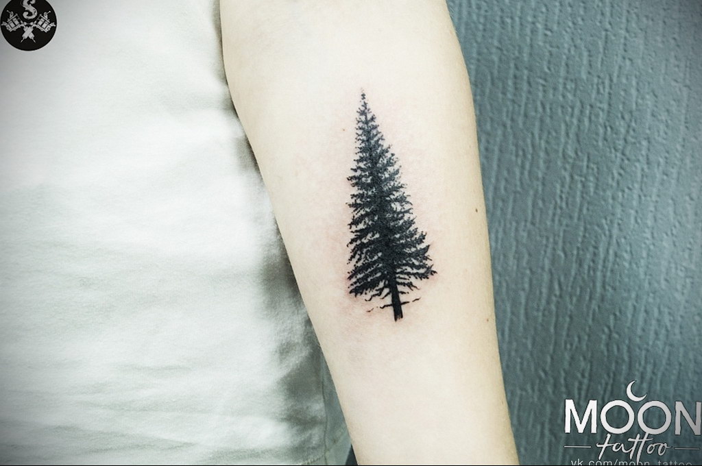 37 Best evergreen tree tattoo ideas  tree tattoo pine tree tattoo  evergreen tree tattoo