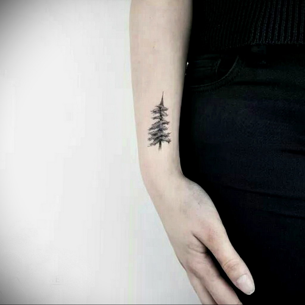 The fir tree tattoo meaning: drawing features, photo examples, facts ...