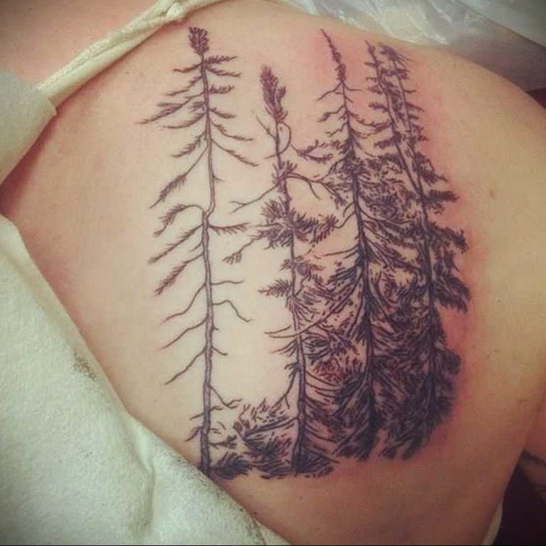 The fir tree tattoo meaning: drawing features, photo examples, facts ...