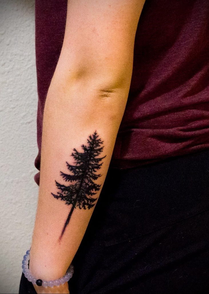tattoo spruce 25.11.2019 №003 -tattoo spruce- tattoovalue.net