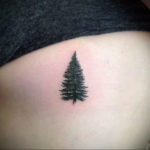 tattoo spruce 25.11.2019 №010 -tattoo spruce- tattoovalue.net