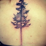 tattoo spruce 25.11.2019 №011 -tattoo spruce- tattoovalue.net