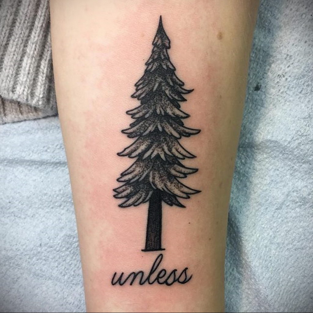 tattoo spruce 25.11.2019 №014 -tattoo spruce- tattoovalue.net
