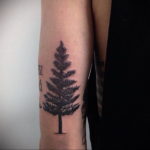 tattoo spruce 25.11.2019 №016 -tattoo spruce- tattoovalue.net