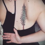 tattoo spruce 25.11.2019 №017 -tattoo spruce- tattoovalue.net
