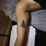 tattoo spruce 25.11.2019 №026 -tattoo spruce- tattoovalue.net