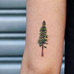 tattoo spruce 25.11.2019 №028 -tattoo spruce- tattoovalue.net
