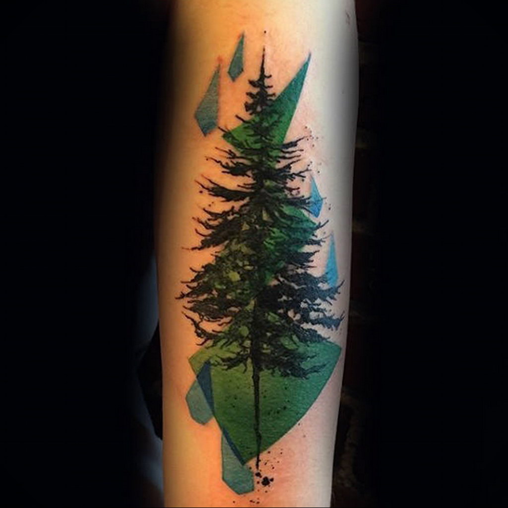 tattoo spruce 25.11.2019 №032 -tattoo spruce- tattoovalue.net