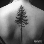 tattoo spruce 25.11.2019 №037 -tattoo spruce- tattoovalue.net