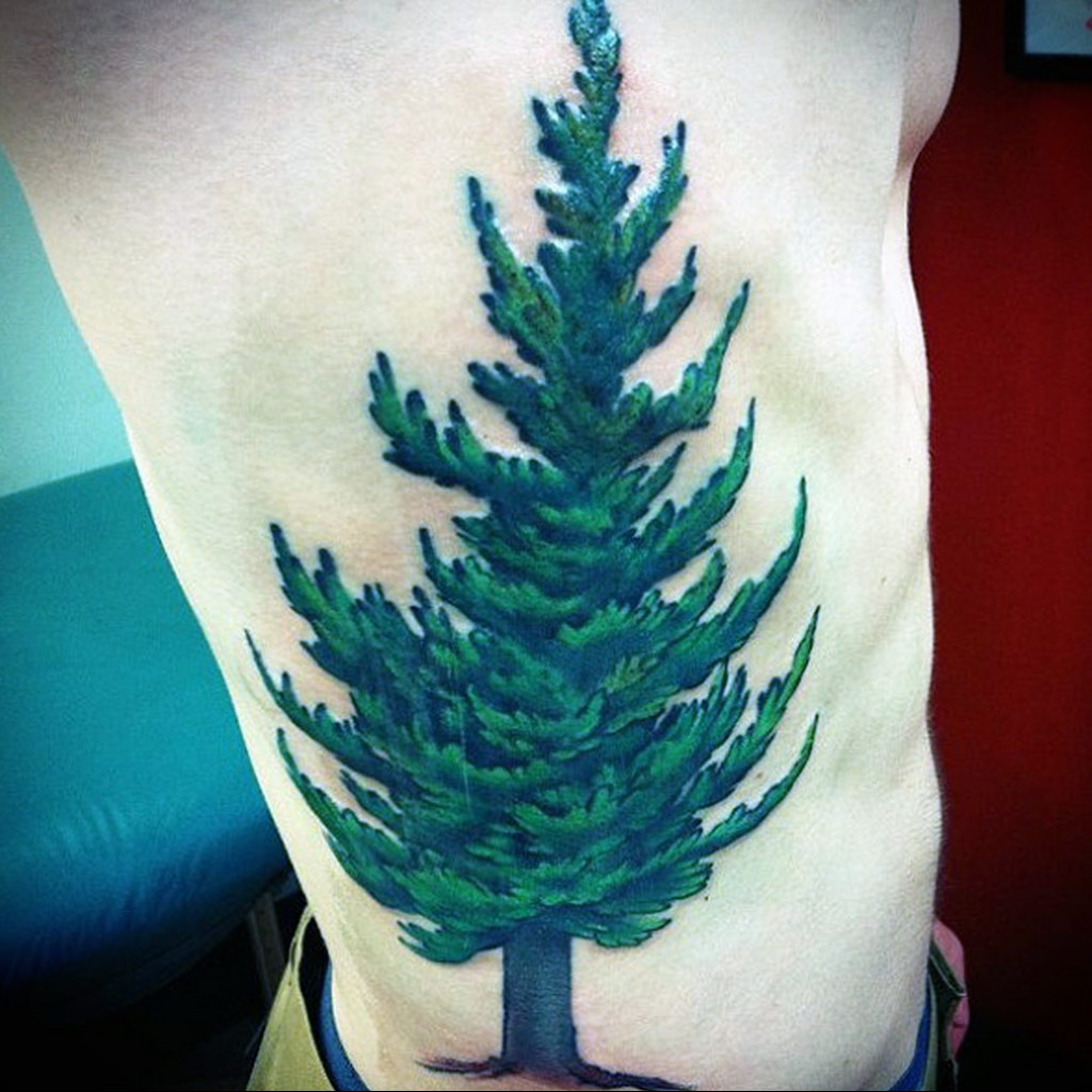 tattoo spruce 25.11.2019 №043 -tattoo spruce- tattoovalue.net