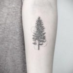 tattoo spruce 25.11.2019 №045 -tattoo spruce- tattoovalue.net