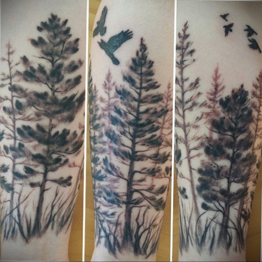 tattoo spruce 25.11.2019 №049 -tattoo spruce- tattoovalue.net