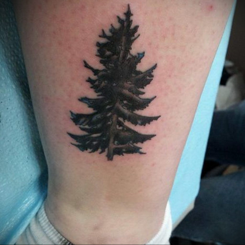 tattoo spruce 25.11.2019 №050 -tattoo spruce- tattoovalue.net