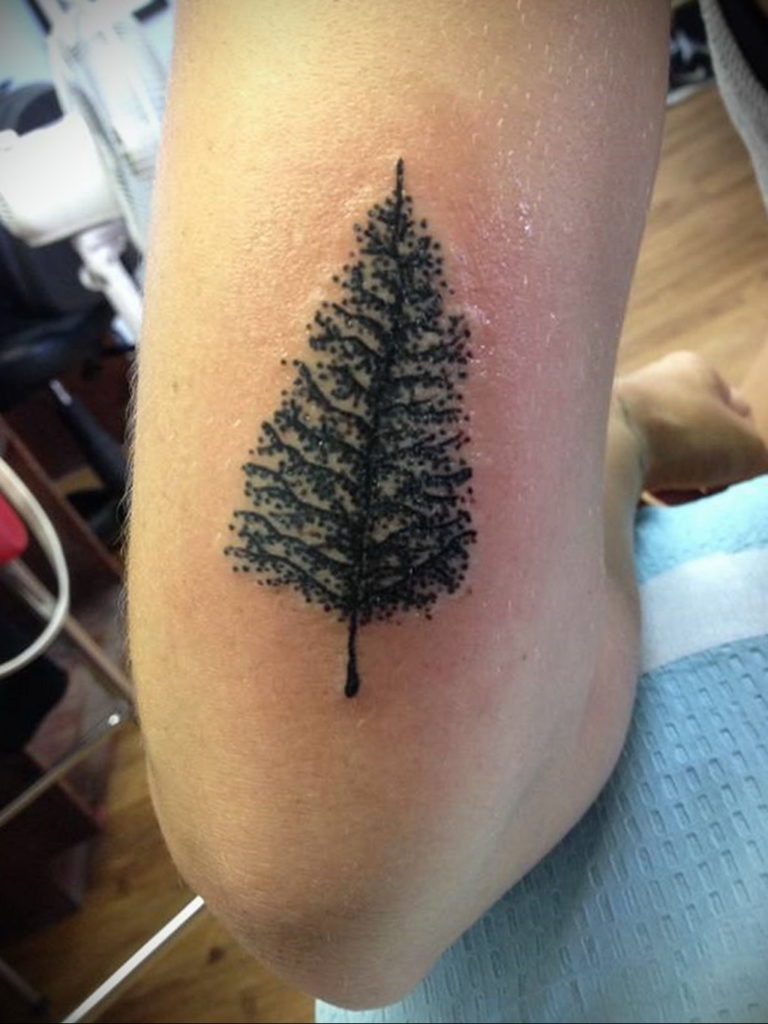tattoo spruce 25.11.2019 №052 -tattoo spruce- tattoovalue.net