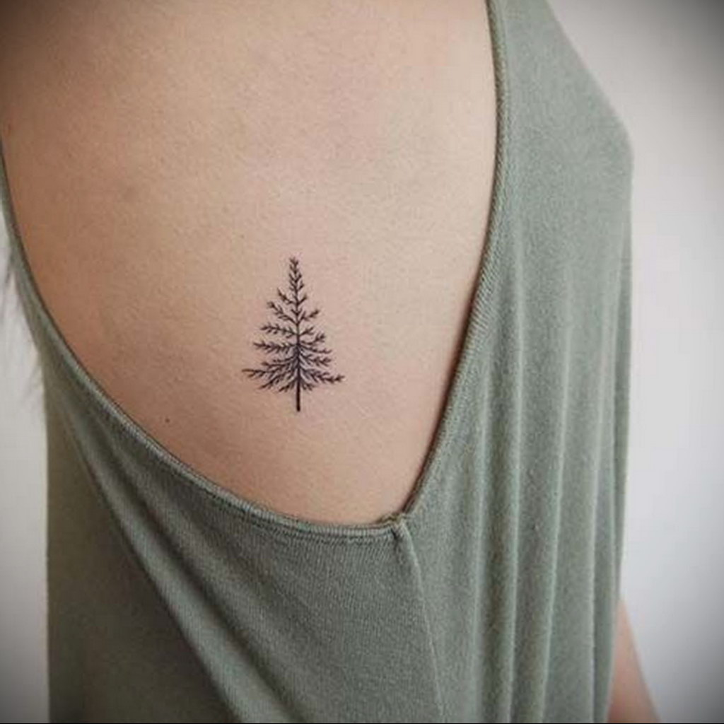 tattoo spruce 25.11.2019 №056 -tattoo spruce- tattoovalue.net