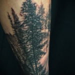 tattoo spruce 25.11.2019 №058 -tattoo spruce- tattoovalue.net