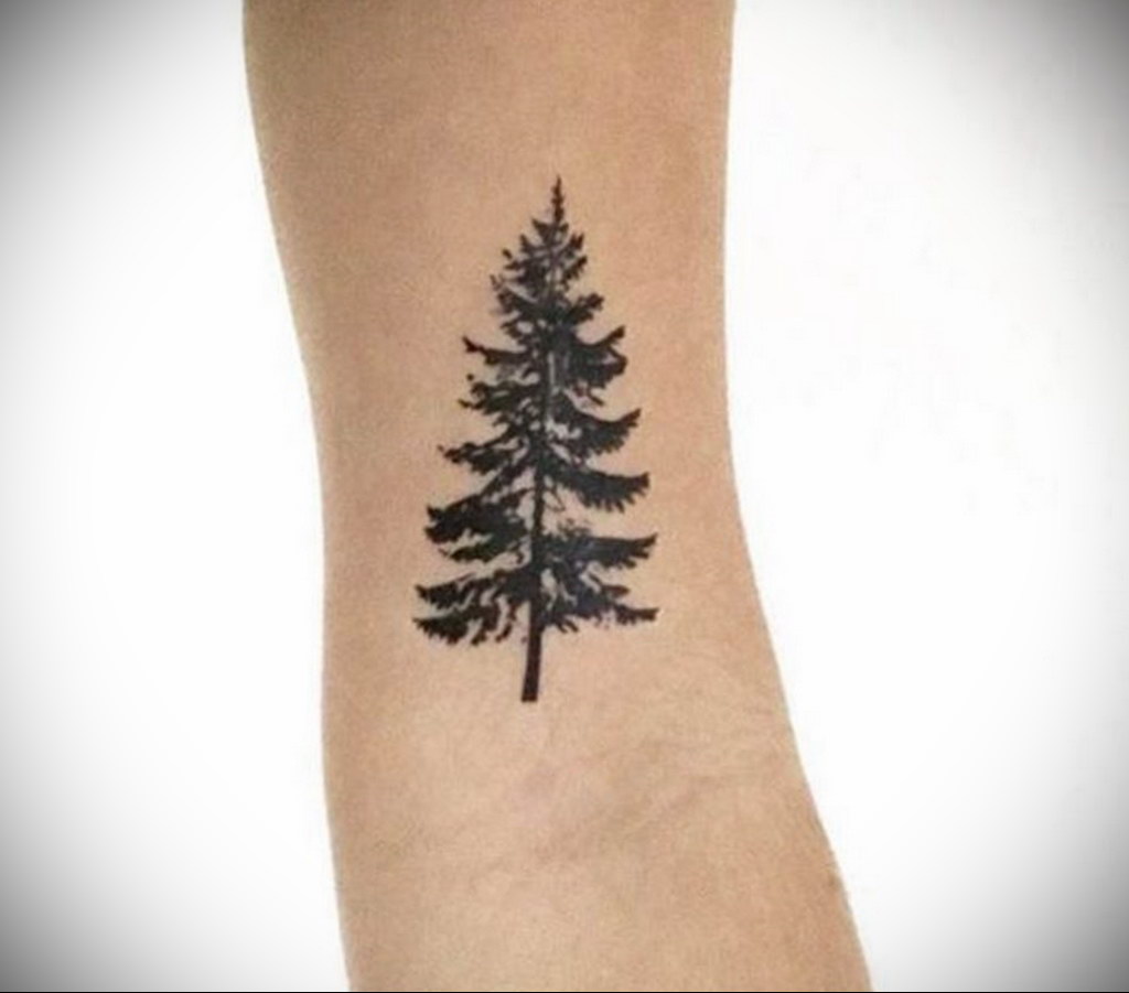 tattoo spruce 25.11.2019 №1004 -tattoo spruce- tattoovalue.net