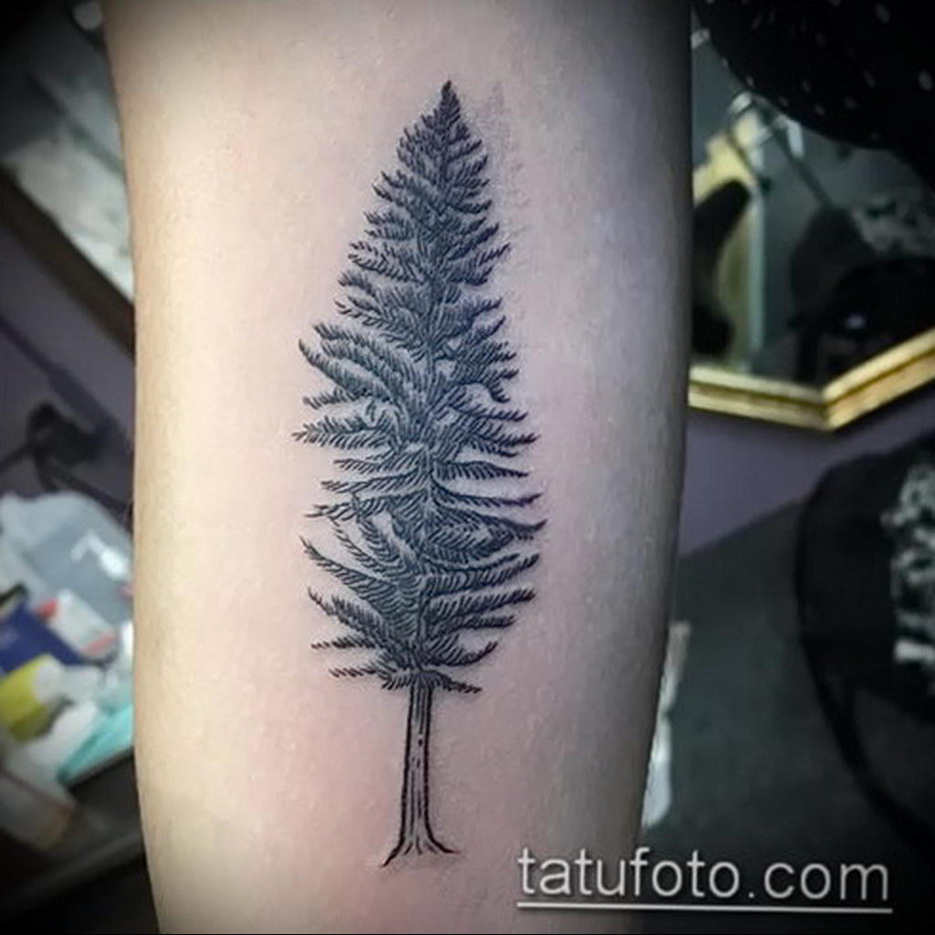 tattoo spruce 25.11.2019 №1012 -tattoo spruce- tattoovalue.net