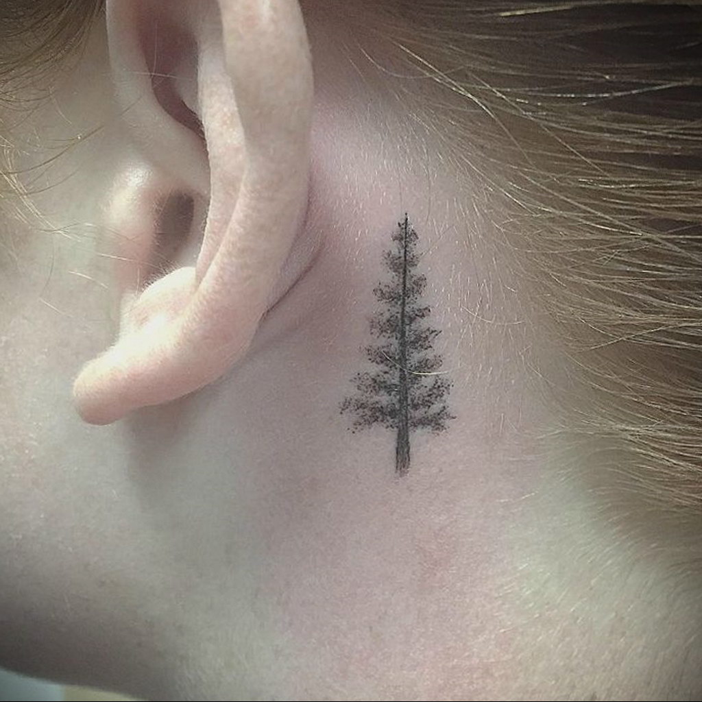 tattoo spruce 25.11.2019 №1030 -tattoo spruce- tattoovalue.net