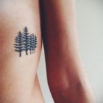 tattoo spruce 25.11.2019 №1034 -tattoo spruce- tattoovalue.net