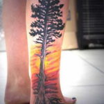 tattoo spruce 25.11.2019 №1050 -tattoo spruce- tattoovalue.net