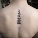 tattoo spruce 25.11.2019 №1056 -tattoo spruce- tattoovalue.net