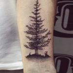 tattoo spruce 25.11.2019 №1058 -tattoo spruce- tattoovalue.net