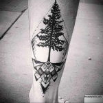 tattoo spruce 25.11.2019 №1079 -tattoo spruce- tattoovalue.net