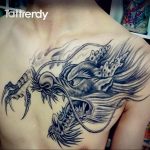 dragon tattoo on chest 23.01.2020 №002 -dragon tattoo- tattoovalue.net