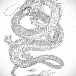 dragon tattoo sketch 23.01.2020 №005 -dragon tattoo- tattoovalue.net