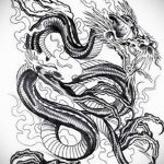 dragon tattoo sketch 23.01.2020 №017 -dragon tattoo- tattoovalue.net