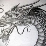 dragon tattoo sketch 23.01.2020 №031 -dragon tattoo- tattoovalue.net