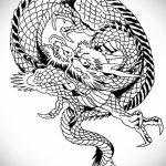 dragon tattoo sketch 23.01.2020 №045 -dragon tattoo- tattoovalue.net