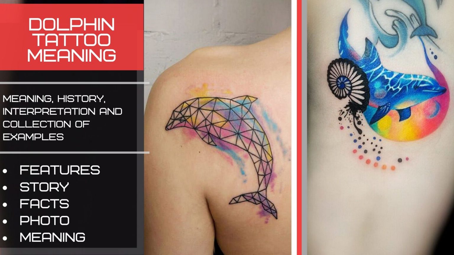 Meaningful dolphin tattoos