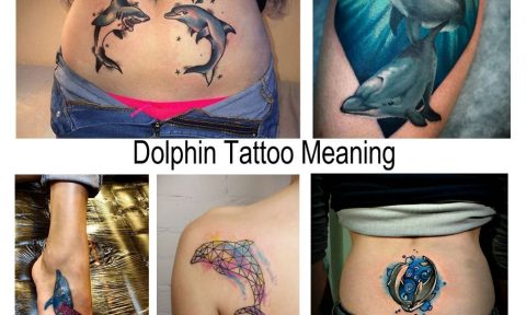 Dolphin Tattoo Meaning - information about the features of the picture and photo examples of ready-made options