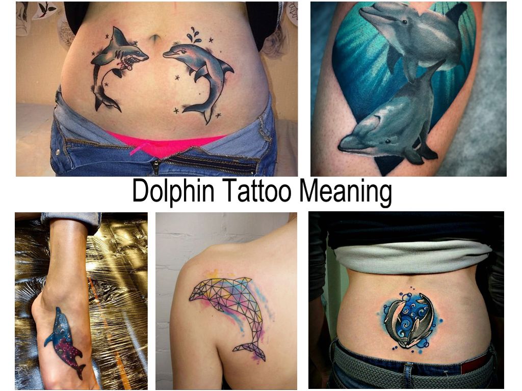Dolphin Tattoo Meaning: history, photos, sketches and facts about drawing