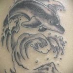 dolphin tattoo photo 21.04.2020 №072 -dolphin tattoo- tattoovalue.net