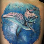 dolphin tattoo photo 21.04.2020 №100 -dolphin tattoo- tattoovalue.net