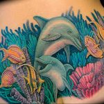 dolphin tattoo photo 21.04.2020 №111 -dolphin tattoo- tattoovalue.net