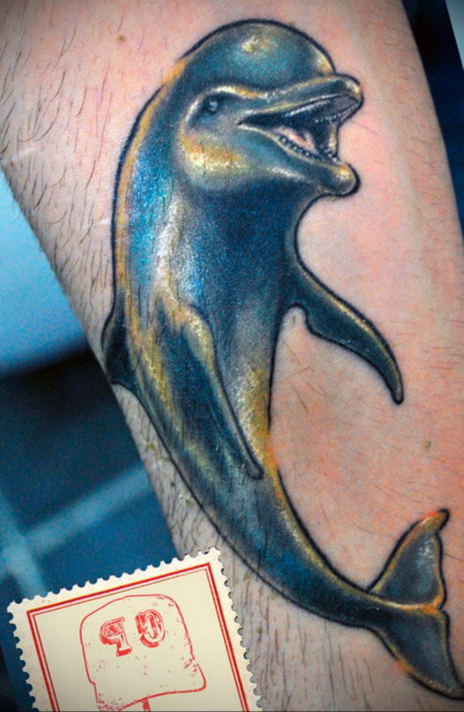 sailor jerry dolphin tattoo tattoos beauty  Tattoos Animal tattoo  Sailor jerry
