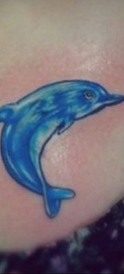 dolphin tattoo photo 21.04.2020 №168 -dolphin tattoo- tattoovalue.net