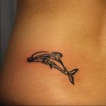 dolphin tattoo photo 21.04.2020 №194 -dolphin tattoo- tattoovalue.net