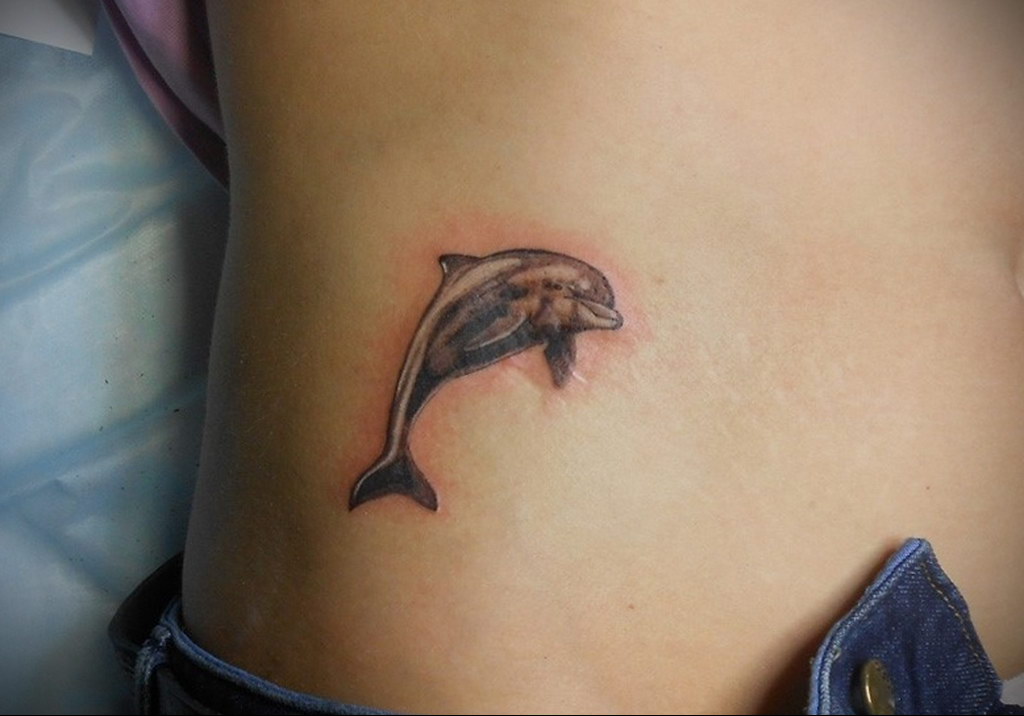 dolphin tattoo photo 21.04.2020 №011 -dolphin tattoo- tattoovalue.net