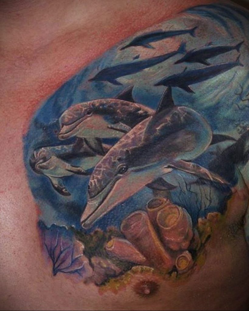 dolphin tattoo photo 21.04.2020 №012 -dolphin tattoo- tattoovalue.net