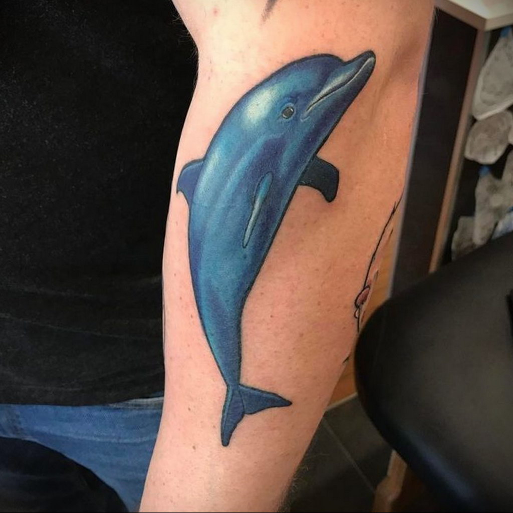 dolphin tattoo photo 21.04.2020 №033 -dolphin tattoo- tattoovalue.net