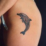 dolphin tattoo photo 21.04.2020 №039 -dolphin tattoo- tattoovalue.net