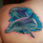 dolphin tattoo photo 21.04.2020 №040 -dolphin tattoo- tattoovalue.net