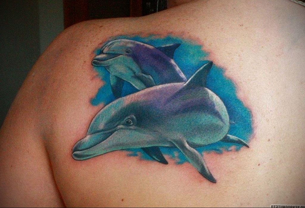 dolphin tattoo photo 21.04.2020 №040 -dolphin tattoo- tattoovalue.net