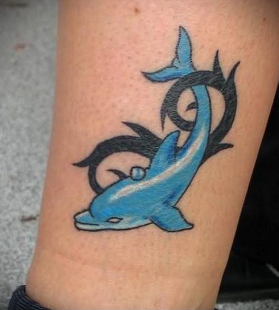 dolphin tattoo photo 21.04.2020 №042 -dolphin tattoo- tattoovalue.net